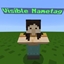Always Visible NPC Name Tags logo