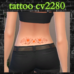 tattoo cv2280 project image