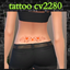 tattoo cv2280 logo