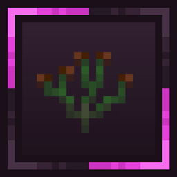 Antiquus project image