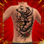 Robynq Tattoo LTD7224 - Basegame compatible logo