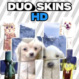 Duo skins HD project image