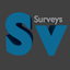 Surveys logo