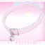 cutest kitty collar logo