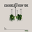 Chandelier Neon Vine logo