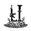 lonely_island items&world logo