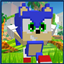 Sonic The Hedgehog 4d Skin logo