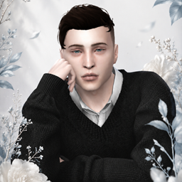 Scottt project image