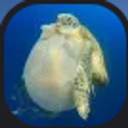 TurtleShell Cobblemon project image