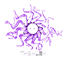 The Hush logo