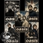 Oasis Poster Pack logo