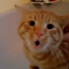laowu-meme logo