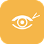 Steady Sight logo