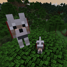 oh？big dog！