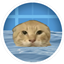 Hachimi's Buoyancy Machine logo