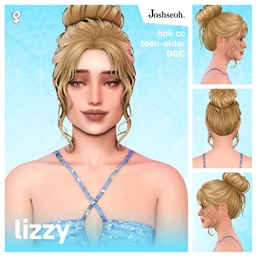 Lizzy Hair V1 project image