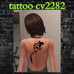 tattoo cv2282 project image