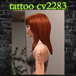 tattoo cv2283 project image