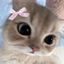 LizzievEmotes logo