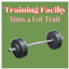 babybeesims Training Facility | Lot Trait / translation spanish by Monisims logo