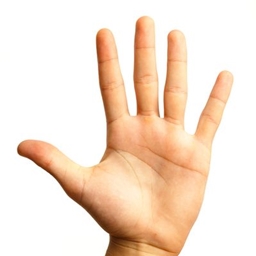Hand Pack