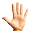 Hand Pack logo
