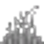 Crunchier Grass logo