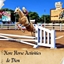 More Horse Activities de Dion - Trad FR logo