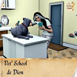 Vet' School de Dion | Trad FR project image