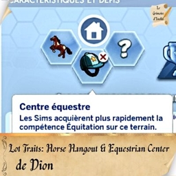 Lot Traits: Horse Hangout & Equestrian Center De Dion | Trad FR