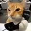 Prime Cat Craft logo