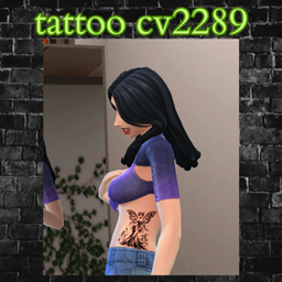 tattoo cv2289 project image