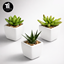 IKEA mini plants set logo
