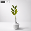 Eucalyptus in vase logo