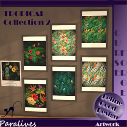 FGD TROPICAL Collection 2 project image