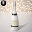 Champagne Bottle logo