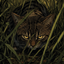 Warriors of Cats logo