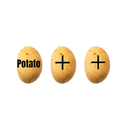potato++ logo