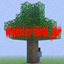 wonderland.jar real one logo