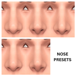 male nose presets1-5 project image