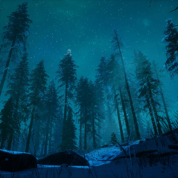 Animated Menu: Aurora Forest Night project image