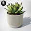 Minimal cactus in pot logo