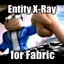 Entity X-Ray for Fabric logo