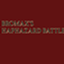BROMAX's Haphazard Battle X Punchy! logo