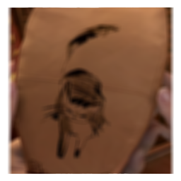 L4D - LANTHERN project image