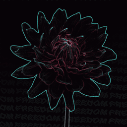 Freedom Plugin project image