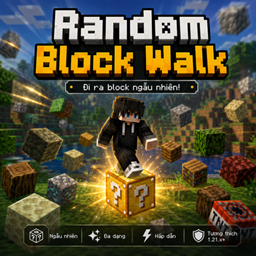 Random Block Walk