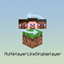 Play Multiplayer in Single Player logo