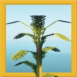 Wild Flora