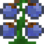 Vanilla Resolution Progressions logo